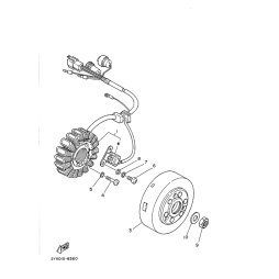 STATOR KOMPL.