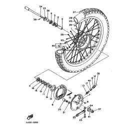 ZAHNRAD, INSTRUMENT