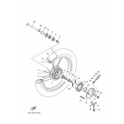 COVER, HUB DUST