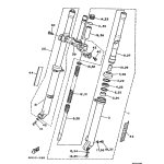 INNERES GABELBEINROHR 1