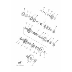GEAR, LOW WHEEL (31T)