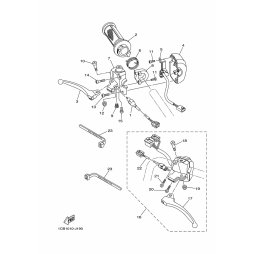 HALTER, FEDER