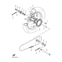 COLLAR ASSY