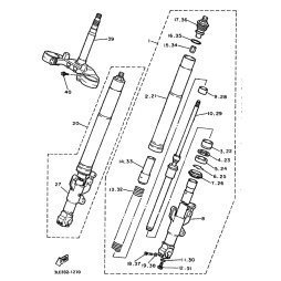 INNERES GABELBEINROHR 2