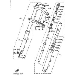 GABELBEIN (LINKS)