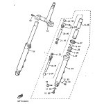 INNERES GABELBEINROHR 1