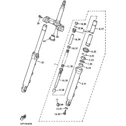 INNERES GABELBEINROHR 1