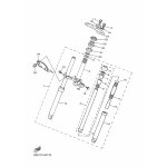 INNERES GABELBEINROHR 1