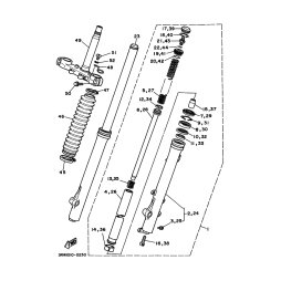 GABELBEIN (LINKS)