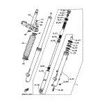 INNERES GABELBEINROHR 1