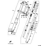 INNERES GABELBEINROHR 1