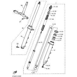 INNERES GABELBEINROHR 1