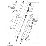 INNERES GABELBEINROHR 1
